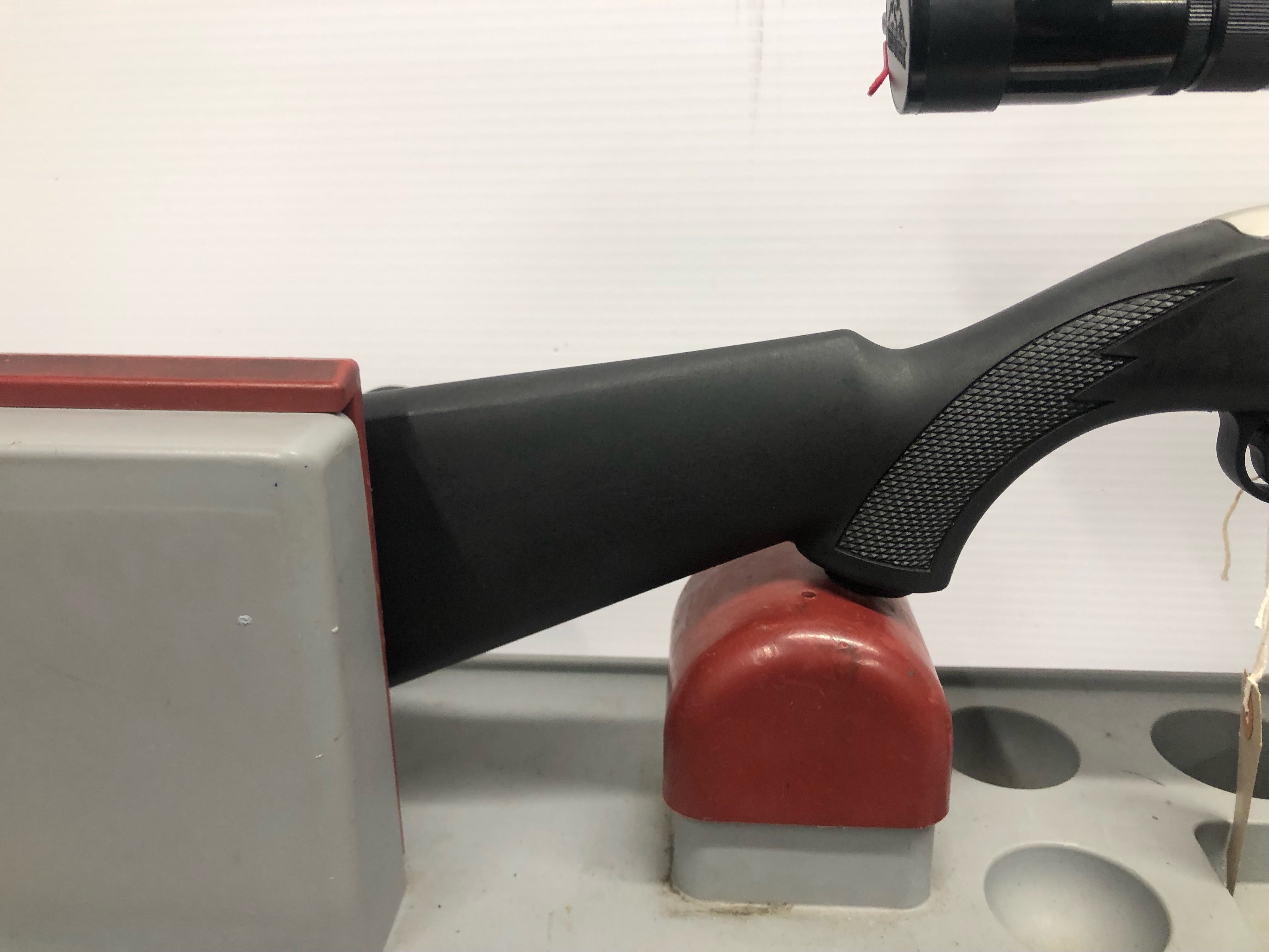 Ruger 10/22 .22LR Rifle