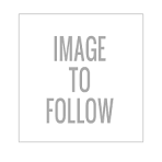Bettinsoli Triumph 12g O/U Sporter